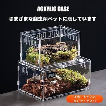 Amazon | 爬虫類 ケージ トカゲ ケージ カナヘビ飼育ケース
